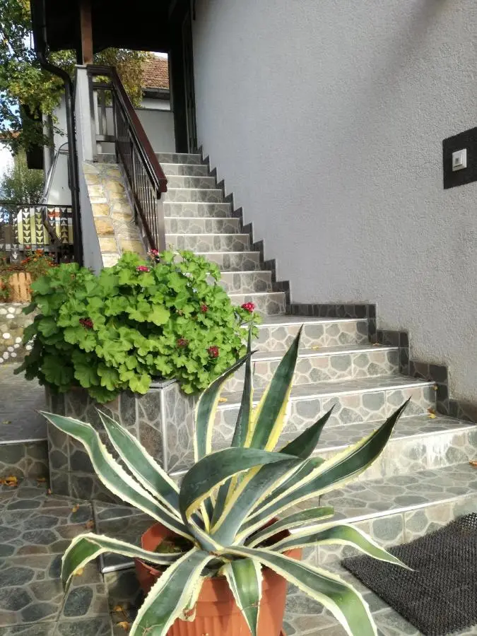 Apartments Dedic
