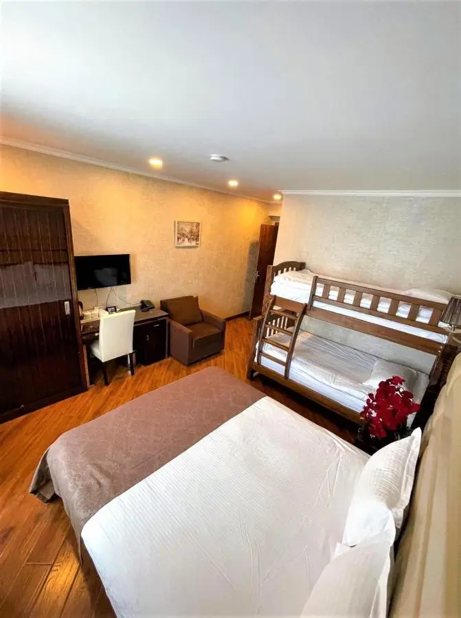 Hotel King David Bakuriani Mountain View