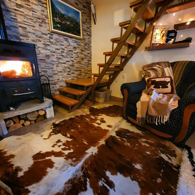 Mystery lodge