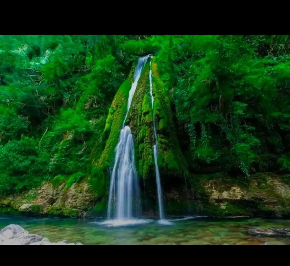 Cottage SA-LI - კოტეჯი SA-LI