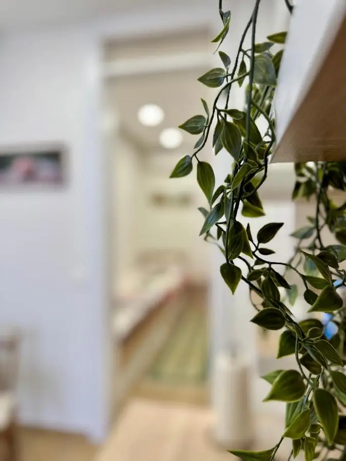 Apartman Potoklinica
