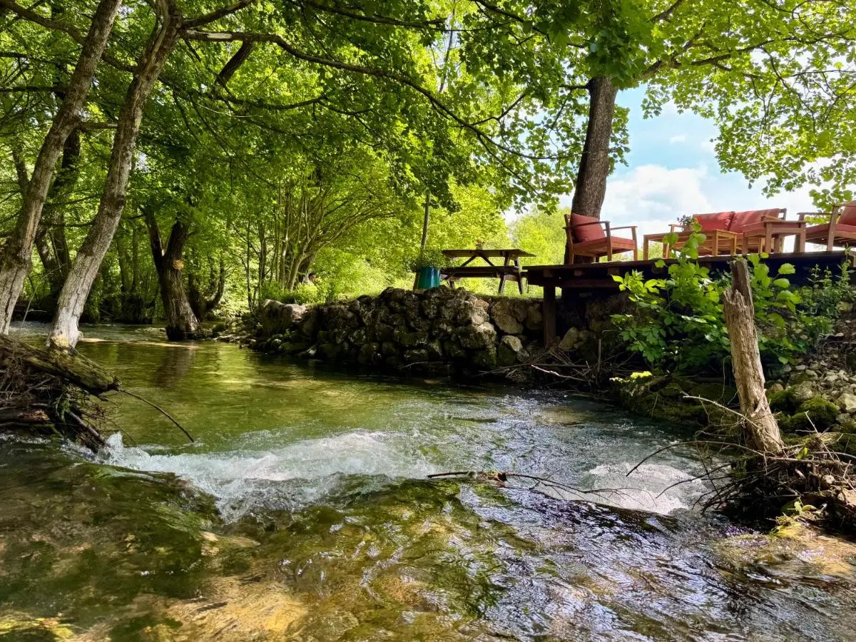 Pine River Dobrenica