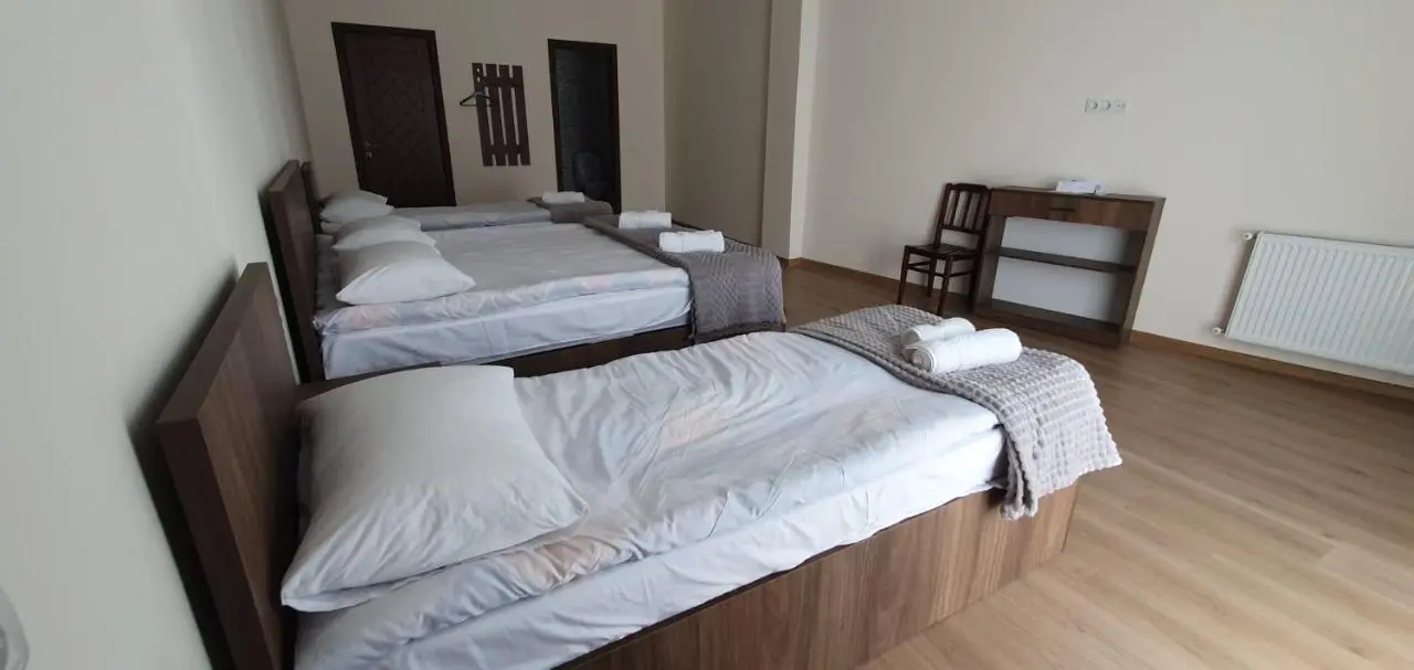 Elnetsa Inn Kazbegi