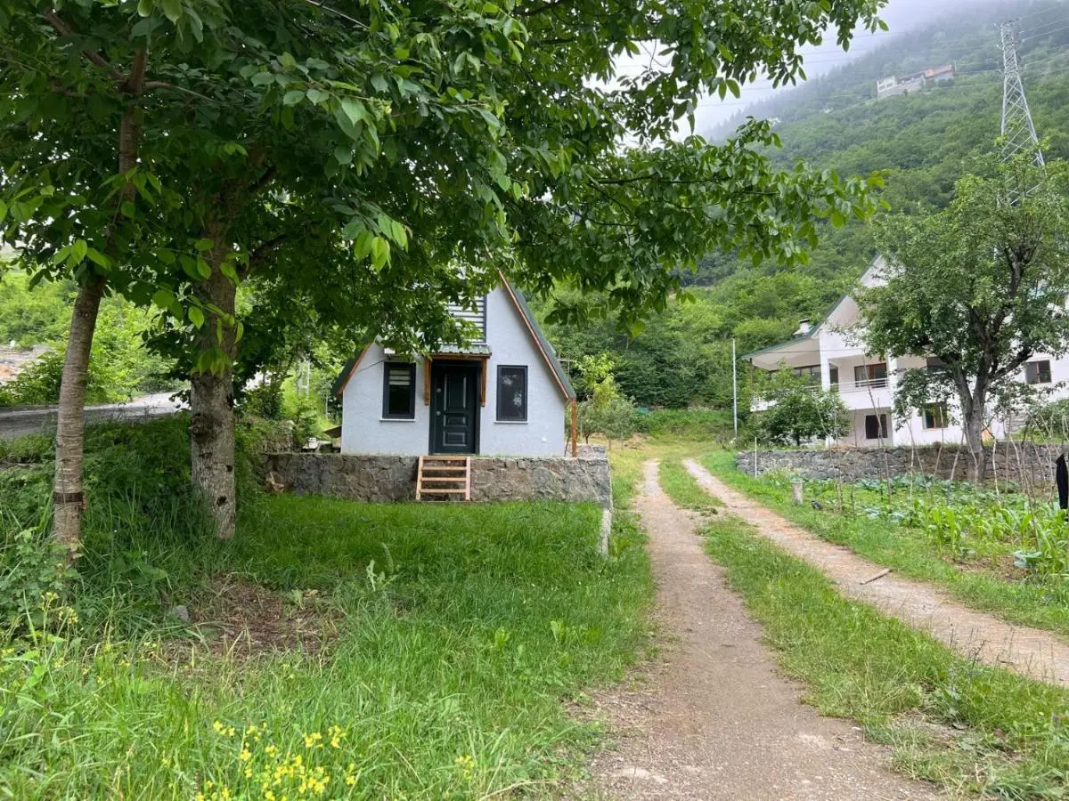 Ali's House