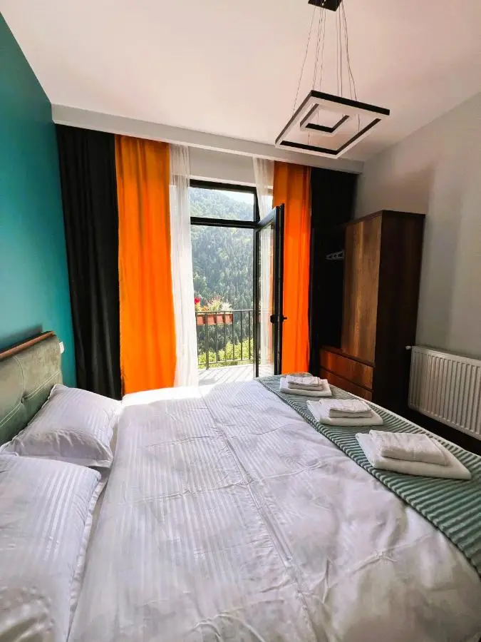 Hillstory Borjomi tba