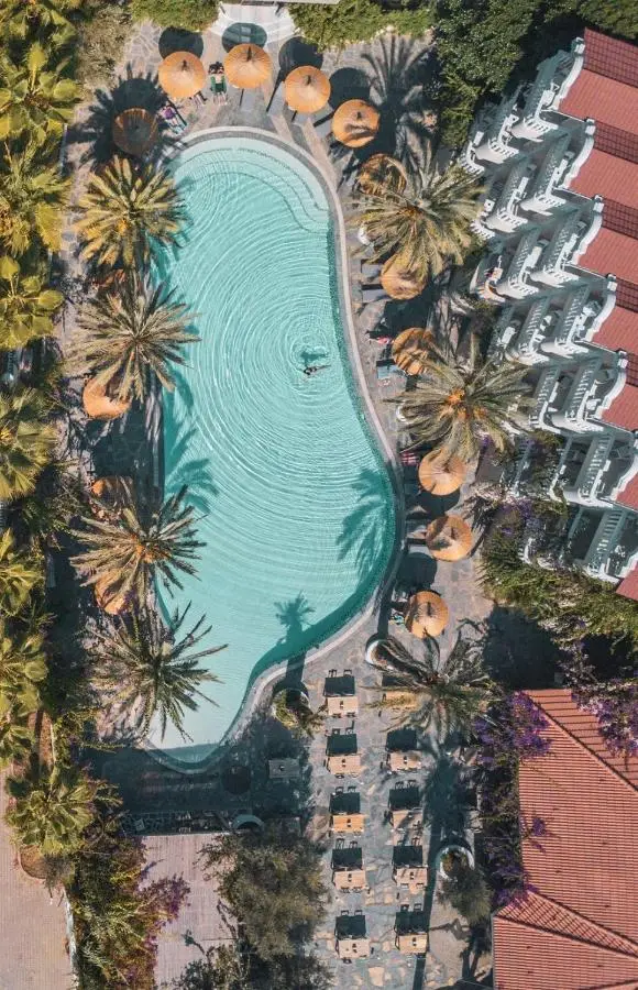 Flamingo Hotel & Spa - Pet Friendly