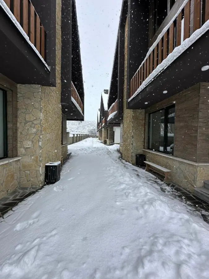 Bakuriani Cottages
