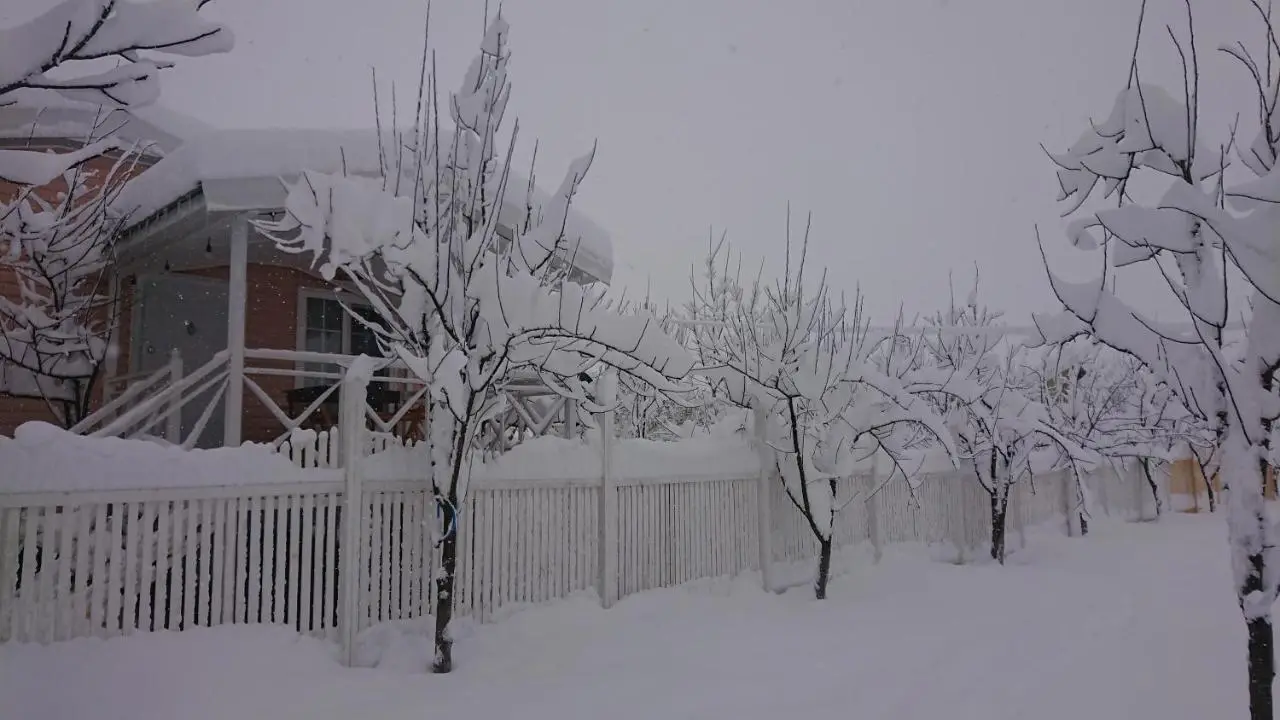 Our Garden