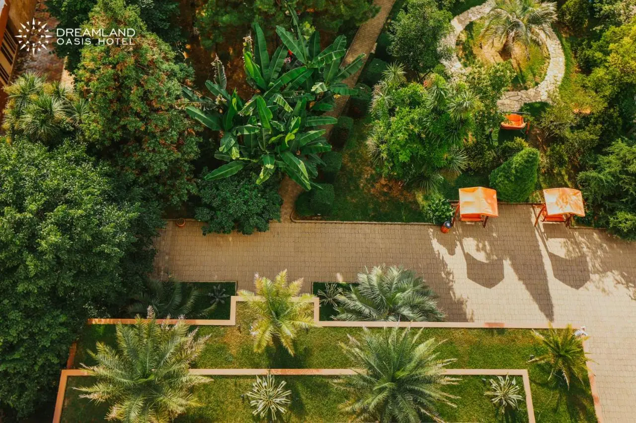 Dreamland Oasis Hotel Chakvi