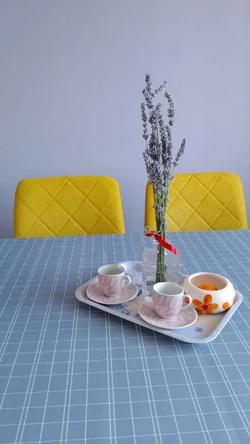 Apartments Aynur
