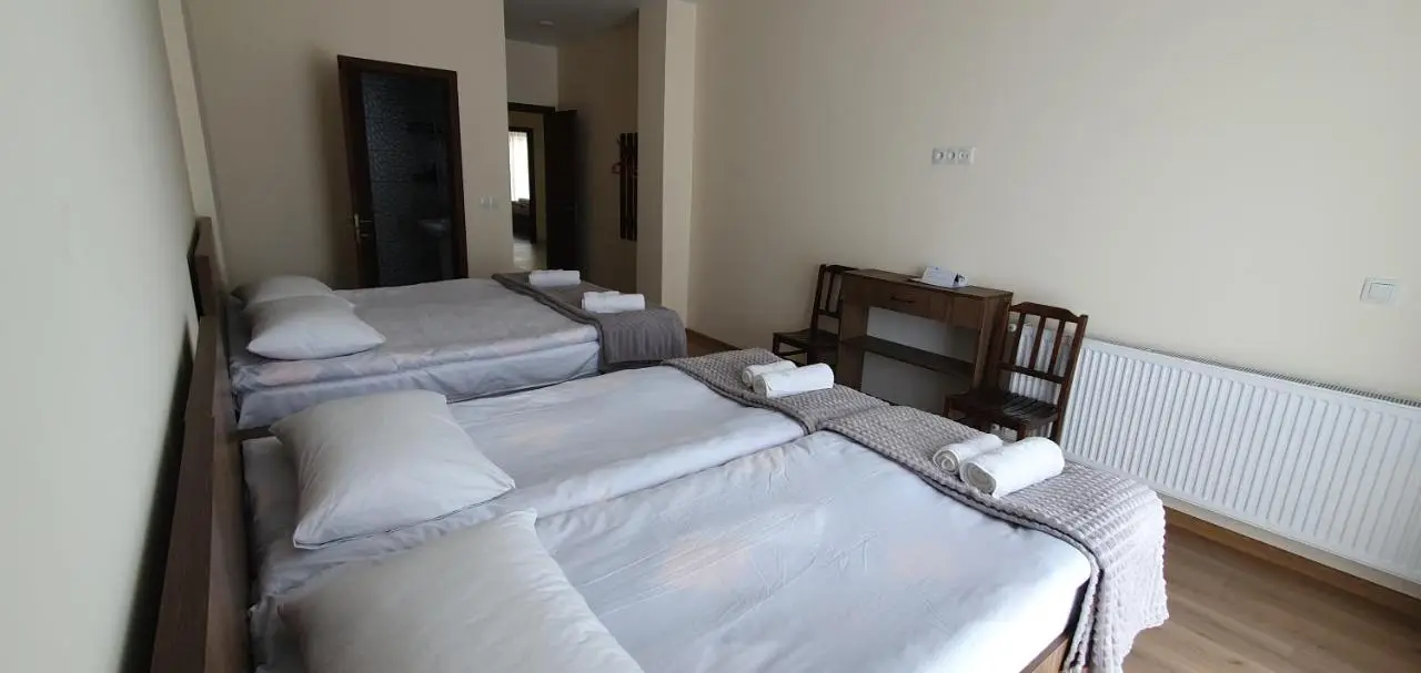 Elnetsa Inn Kazbegi