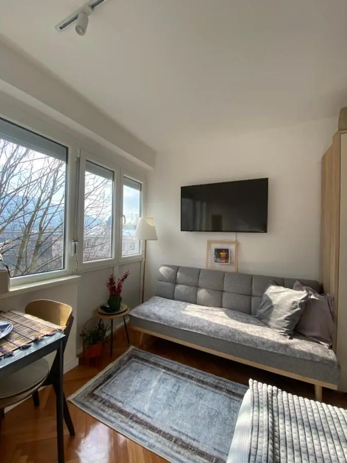 Studio Central Apartment