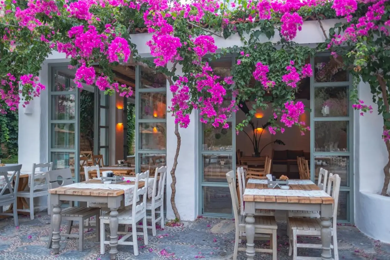 Flamingo Hotel & Spa - Pet Friendly