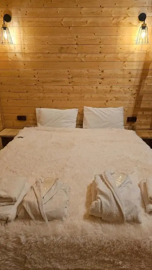 mood villa kazbegi