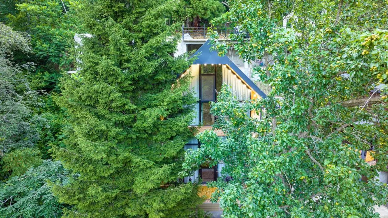 Iliaseuli's Cottage