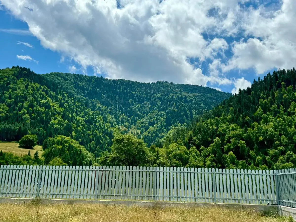 Buddy House Borjomi