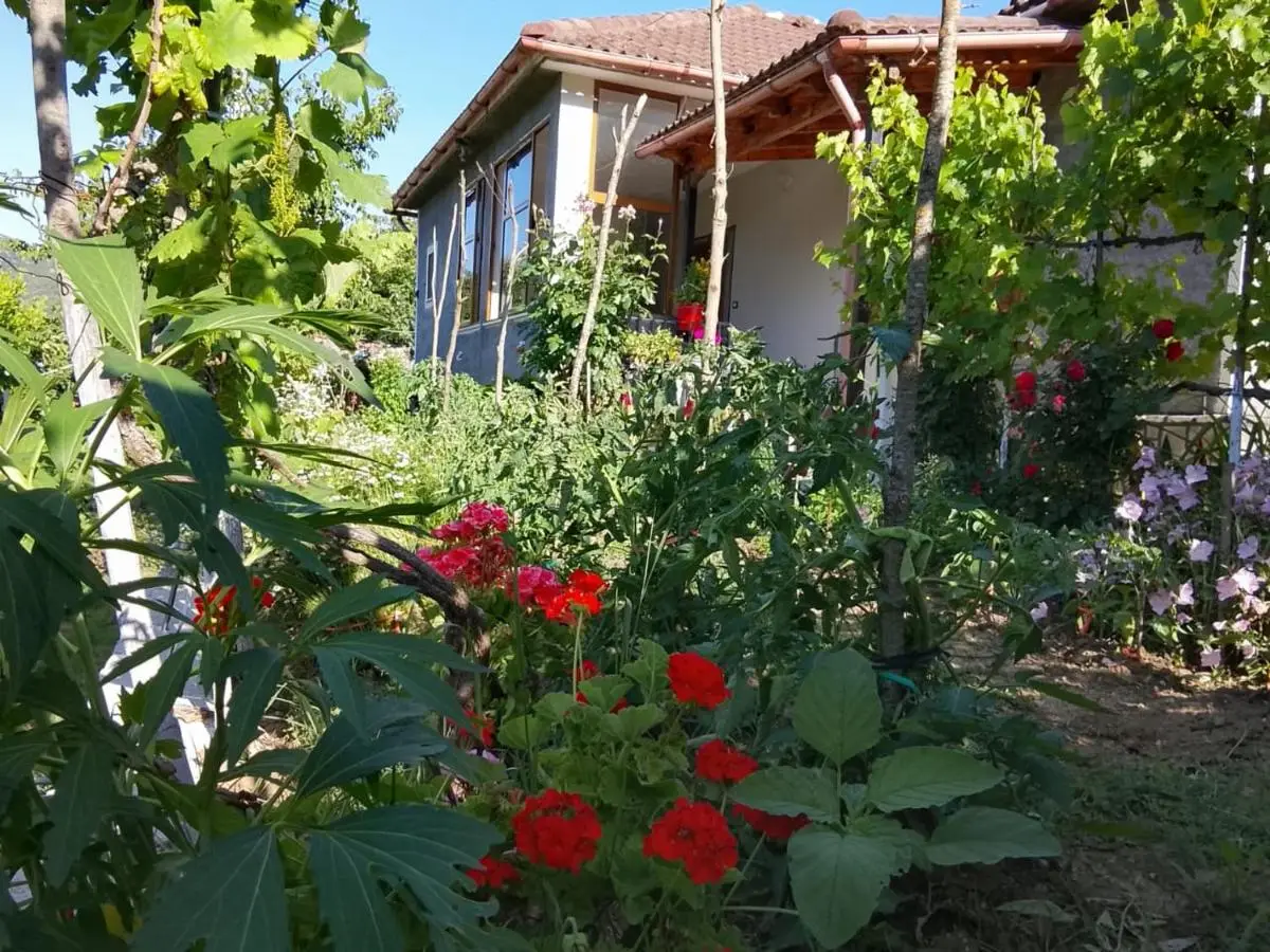 Spring Village Home