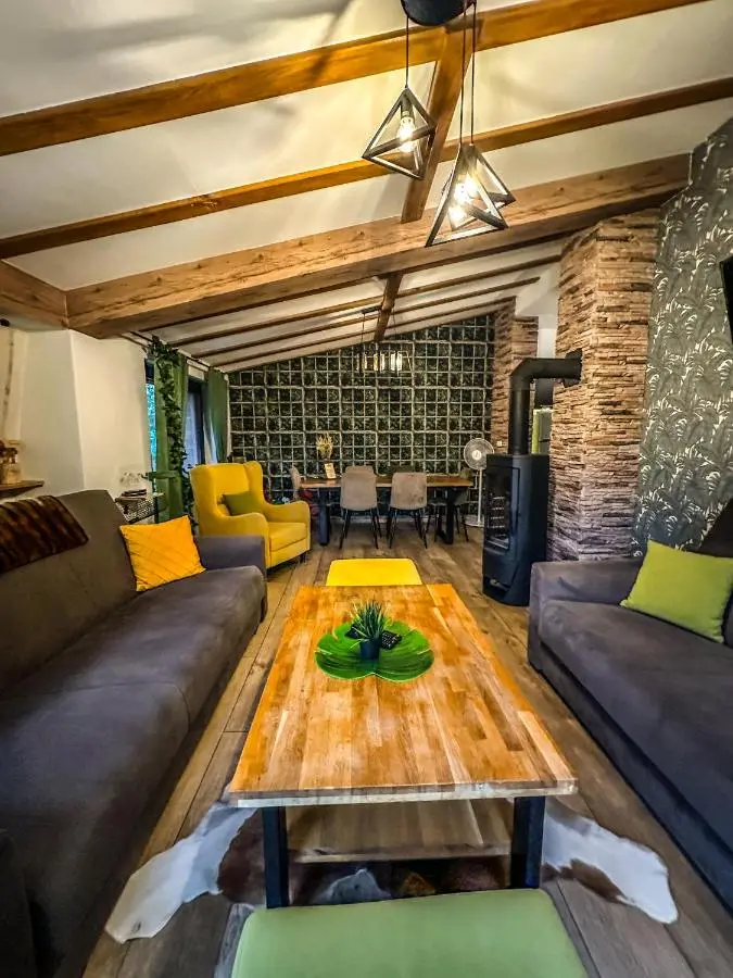 Vila Bašić Vlašić JELEN Spa Apartman Sauna & Jacuzzi