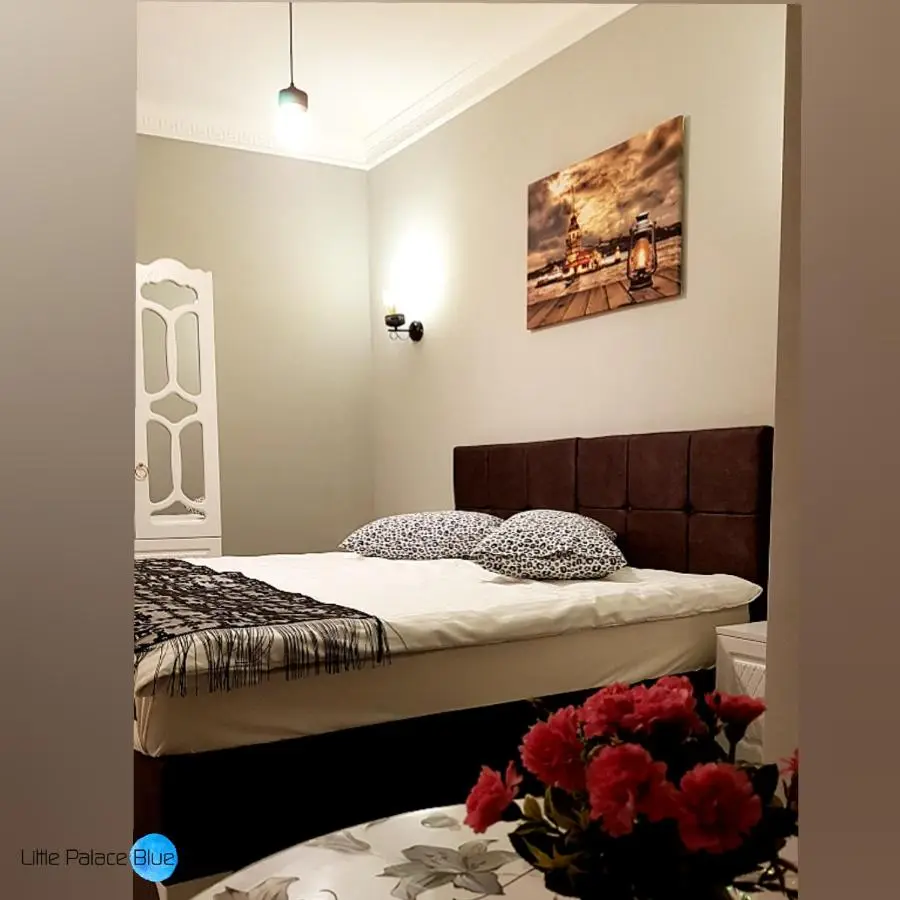 Little Palace Blue Apartment