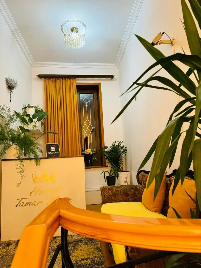 Hotel Tamar Mepe