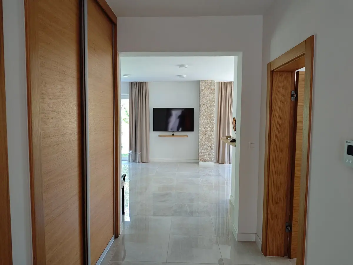Luxury Villa Plandište 1