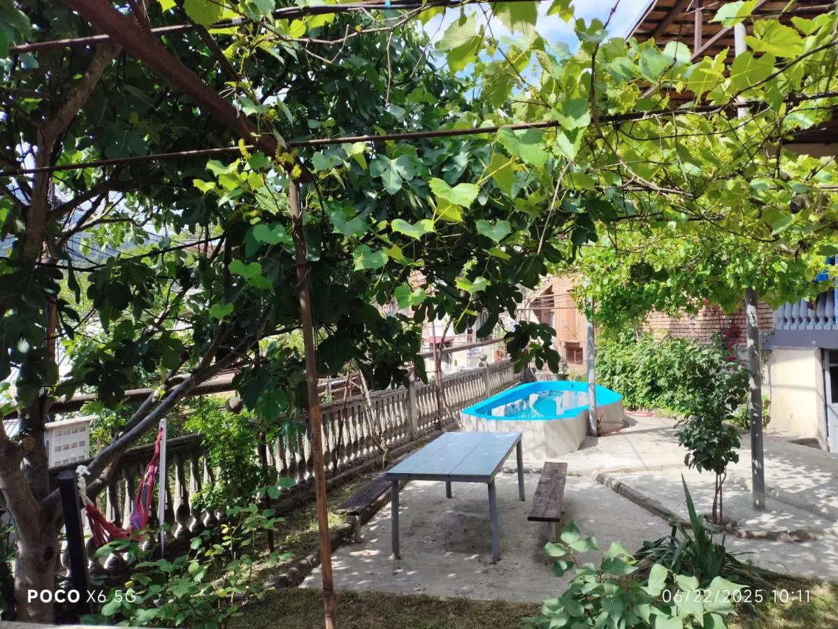 Shota's Guest House