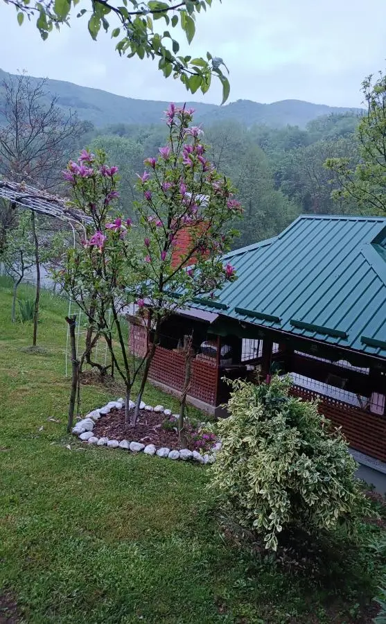 Silent home