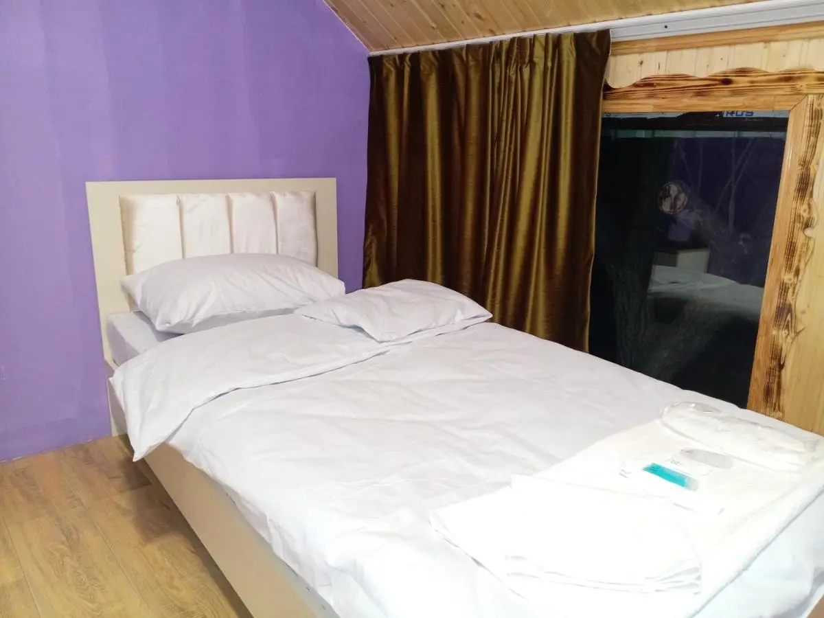 Baku Express Guest House - PRIVATE rooms with SHARED bathrooms