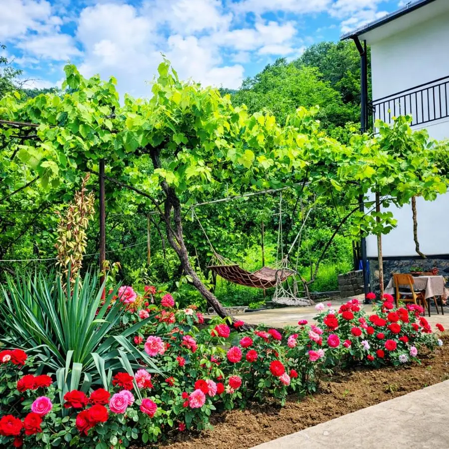 White House In Borjomi