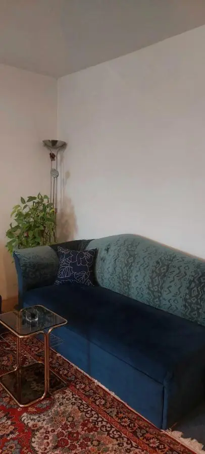 Apartment Alipašino
