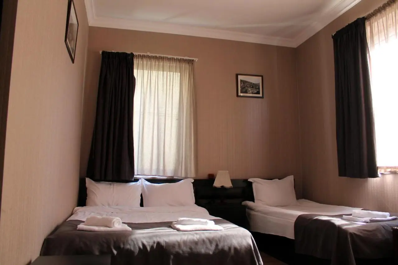 Hotel New Metekhi