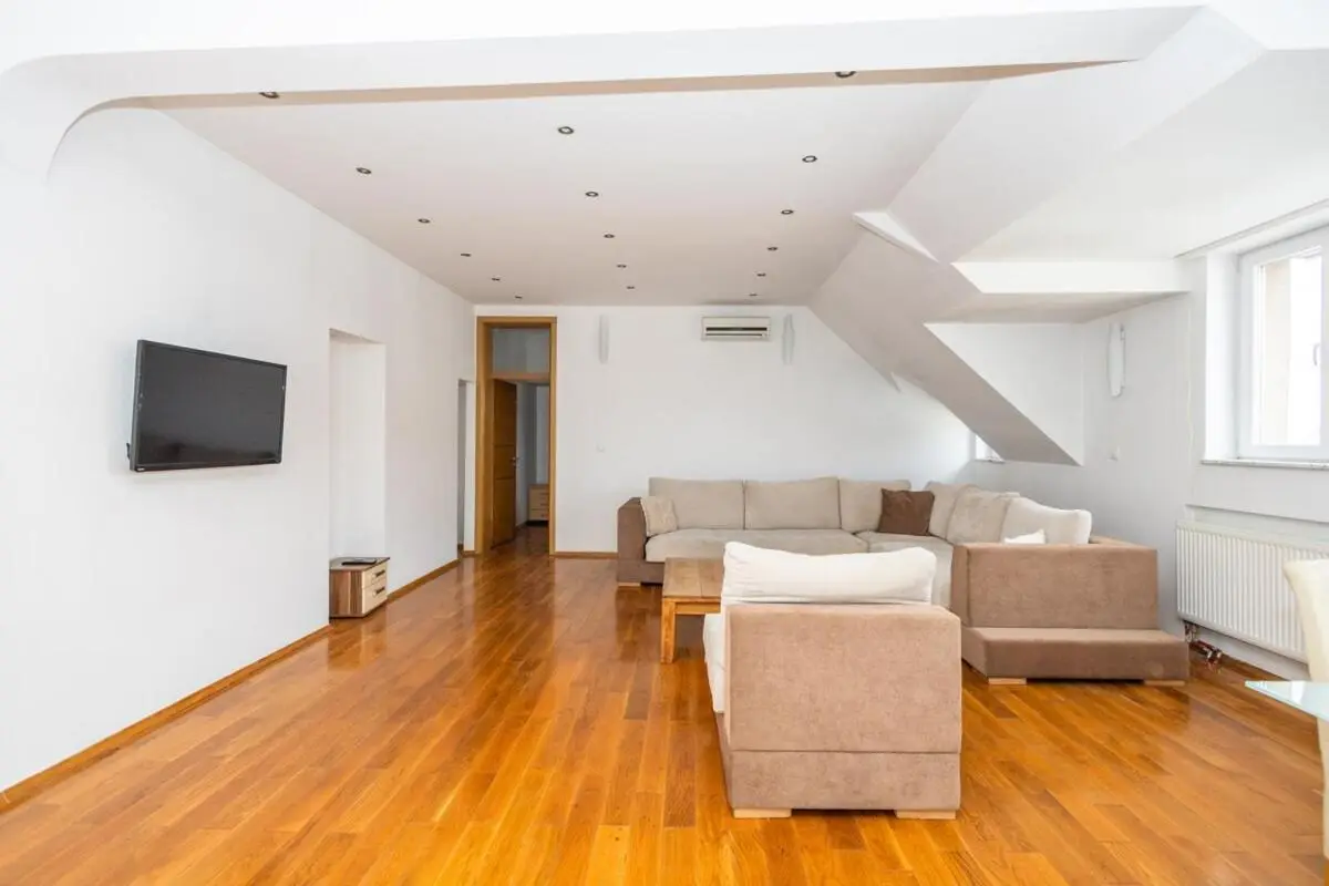 Spacious Apartment in Downtown