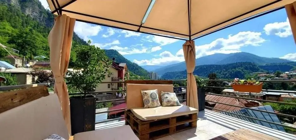 Borjomi inn