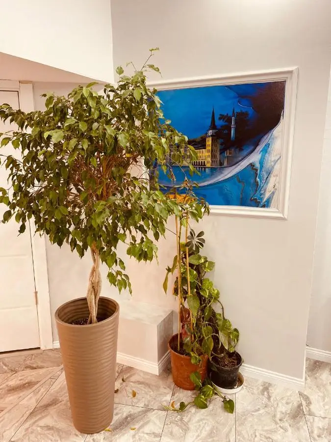 Hodegon Suite Hotel