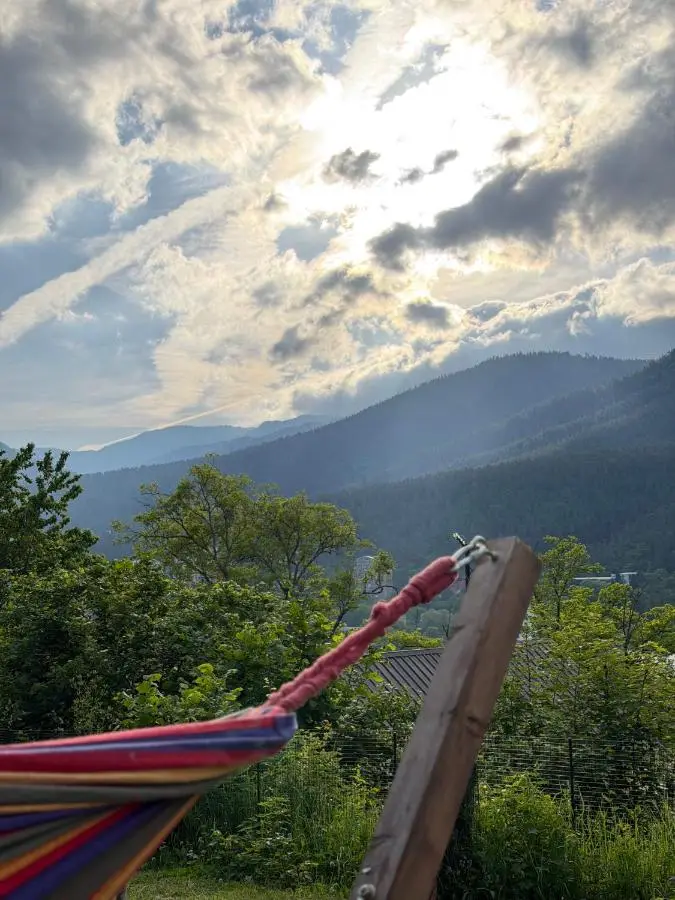 Woodland Borjomi