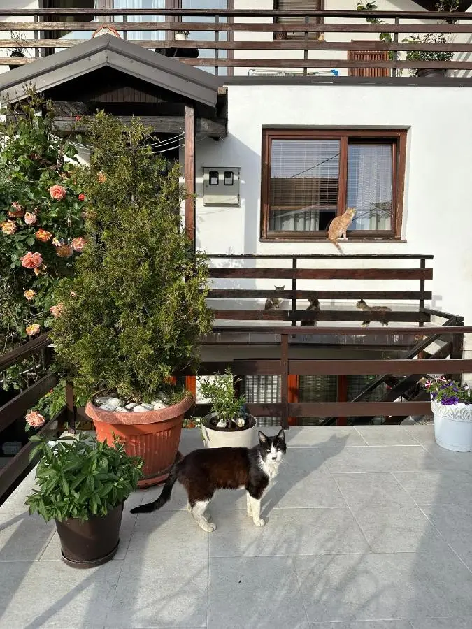 Yasmin Apartments - Your Window to Sarajevo