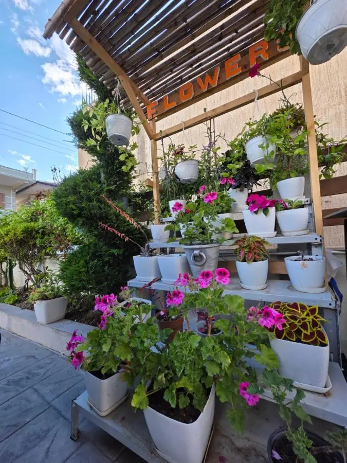 Vila Soleil