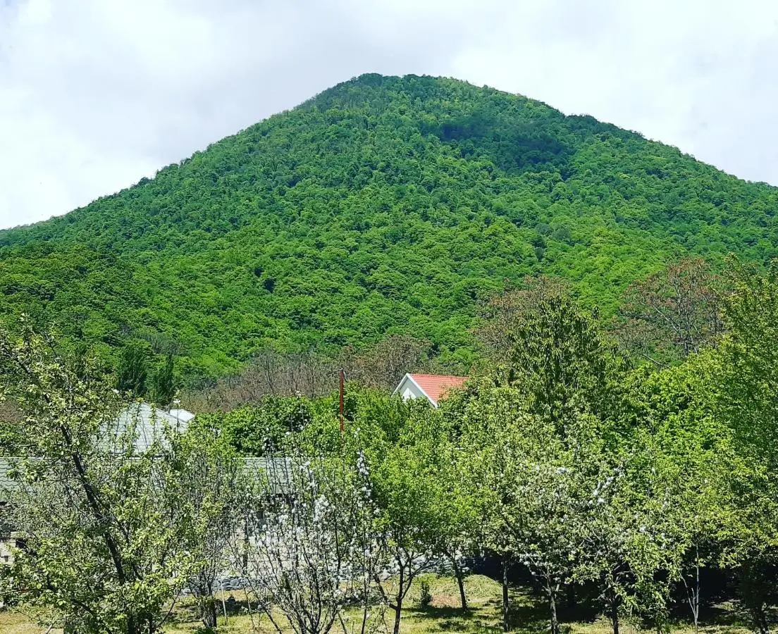 Gabala Sweet Home