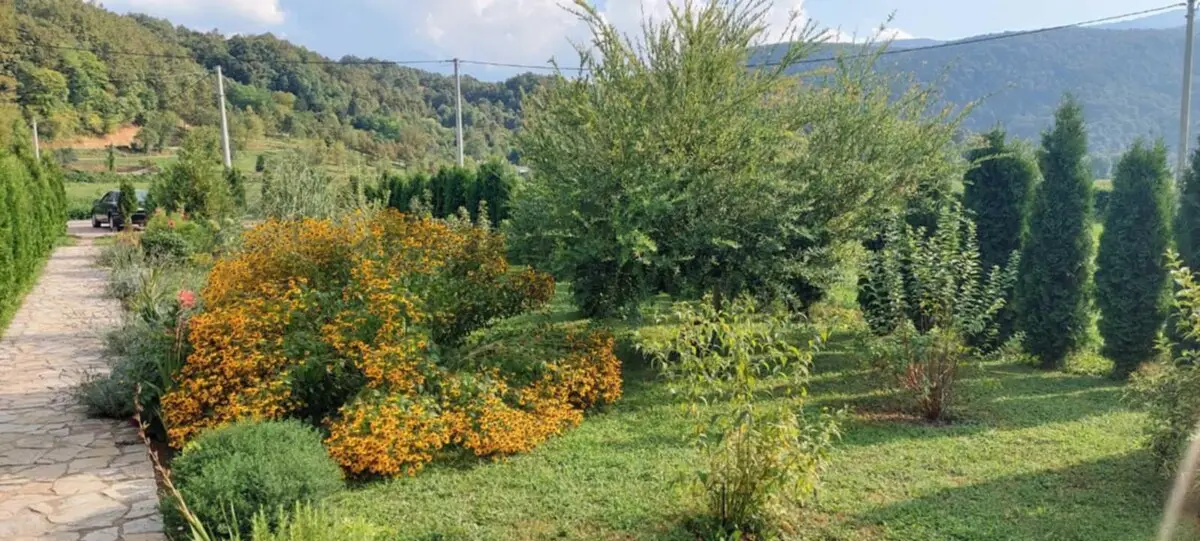 Lamija House