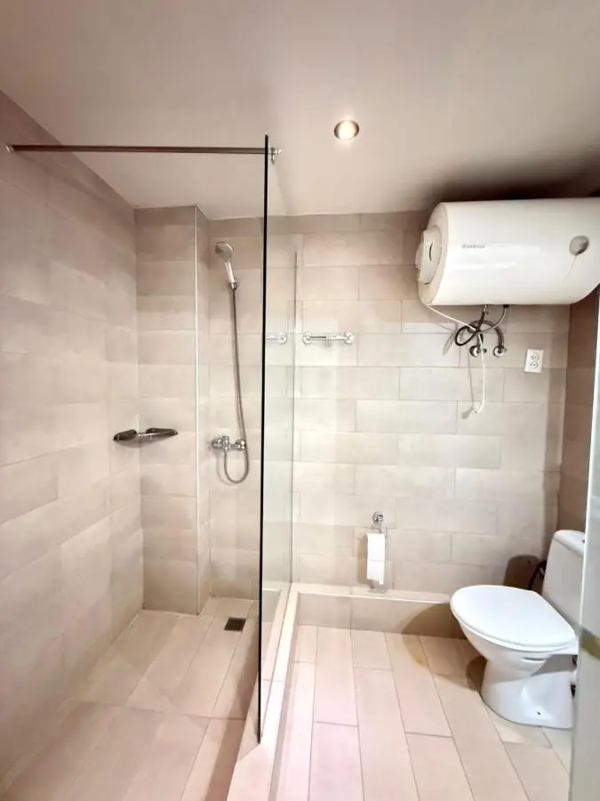 Mgzavrebi Apartment In Bakuriani