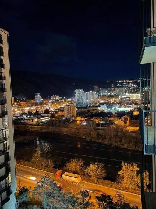 Apartment with city view