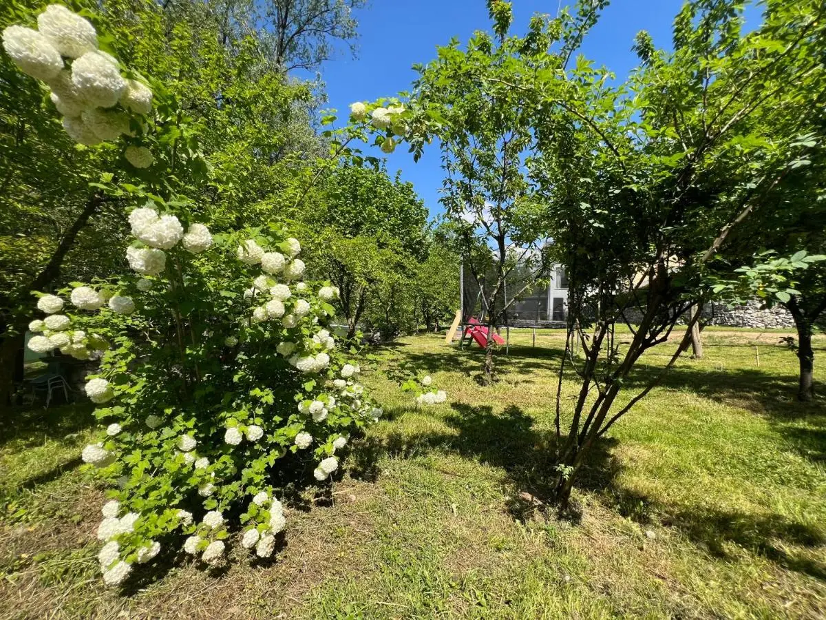 Apartment Anur