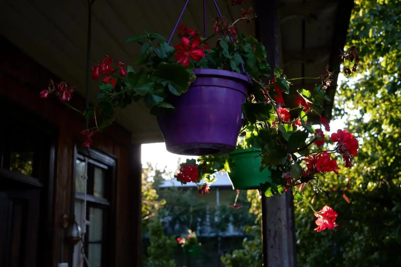 Martvili Guest House OASIS