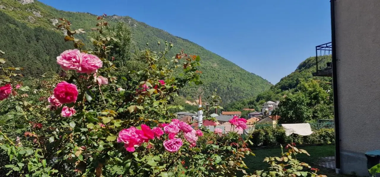 Apartment Plava Voda