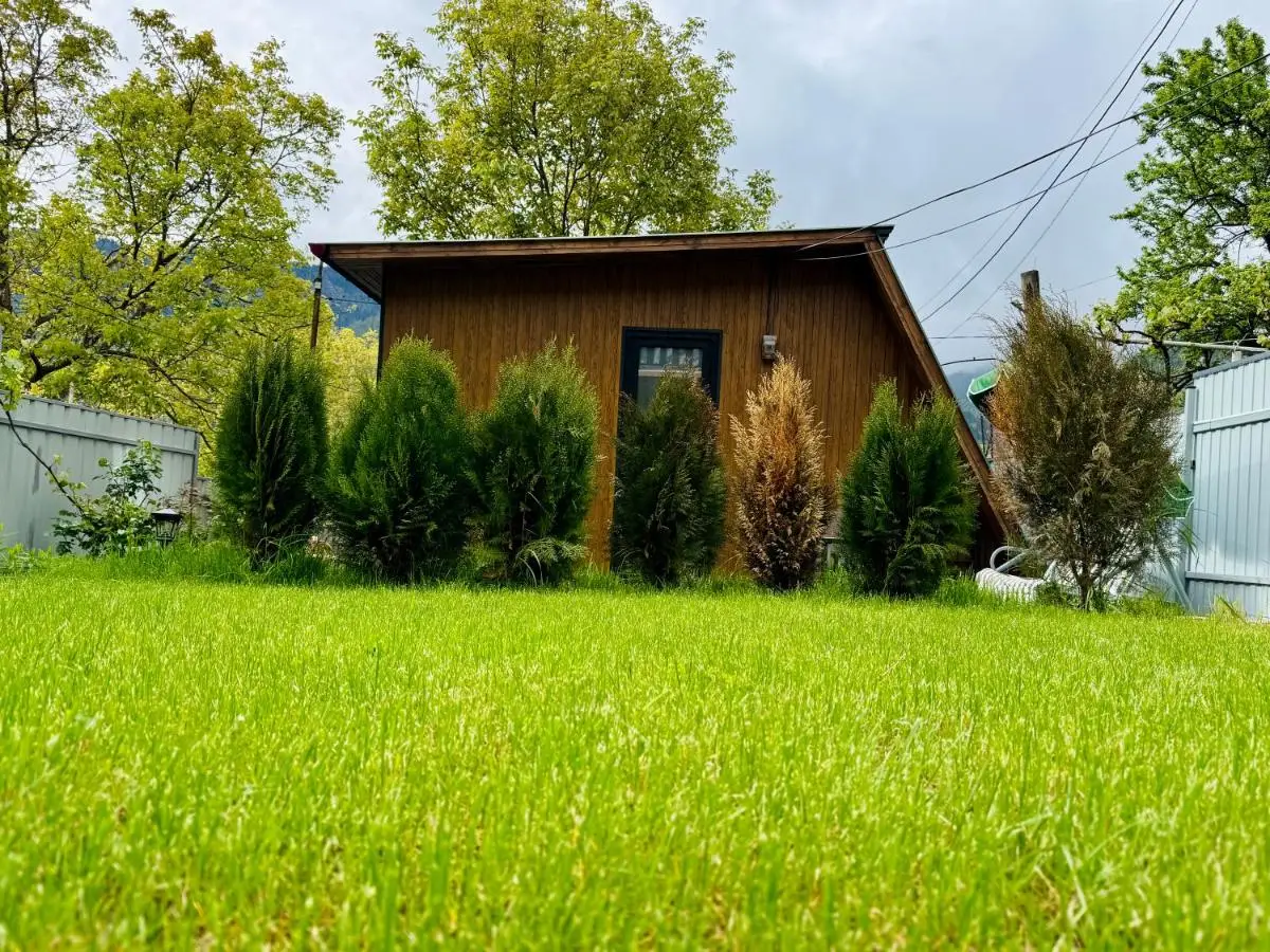 Buddy Cottage Borjomi