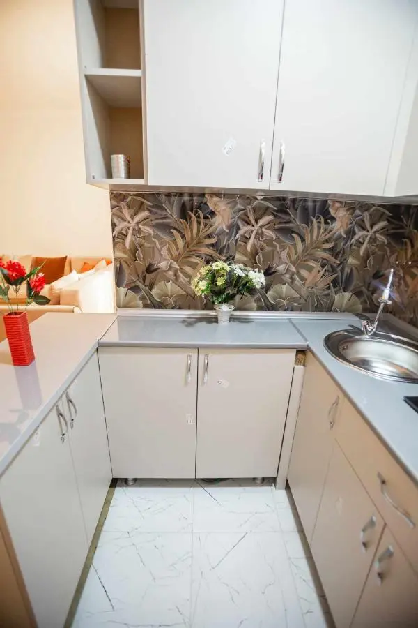 Apartment Kutaisi 248