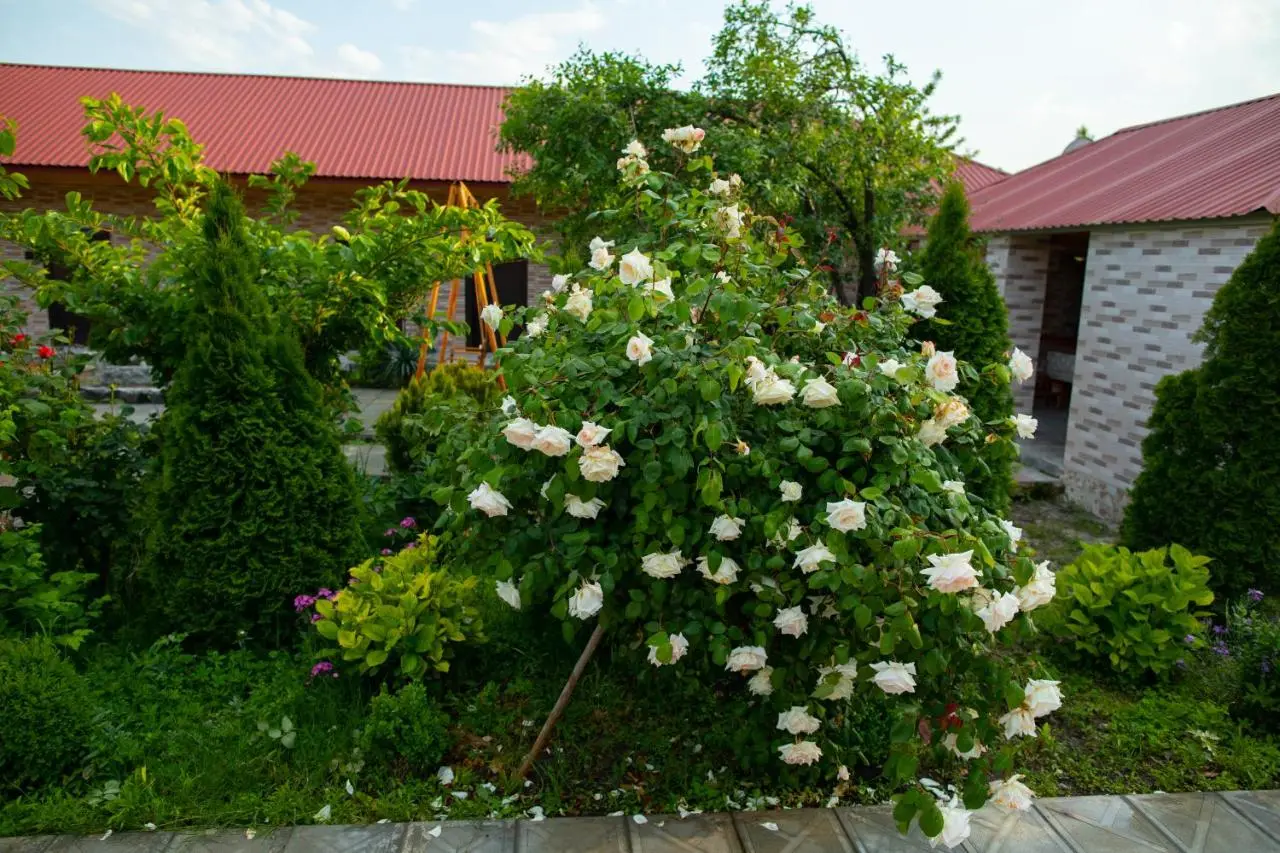 Bibi Qonaq evi Gostevoy Dom