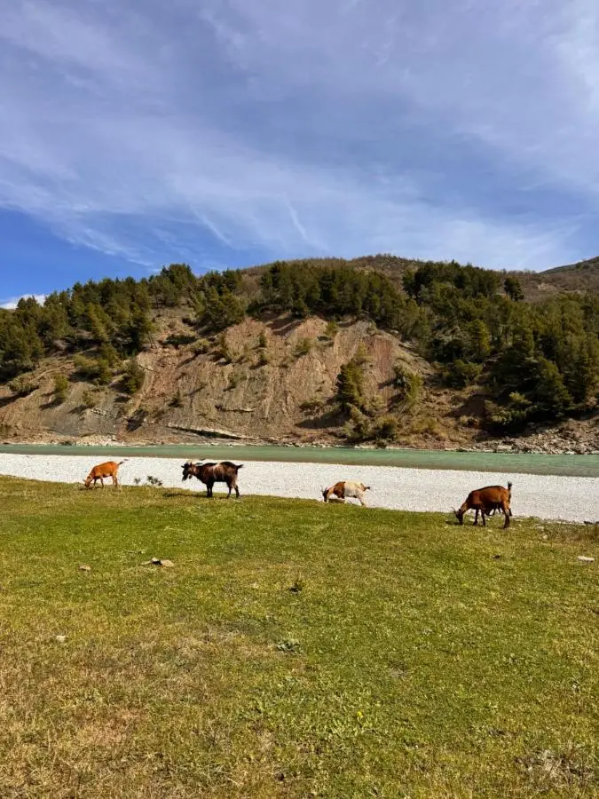 Sancho Farm Albania