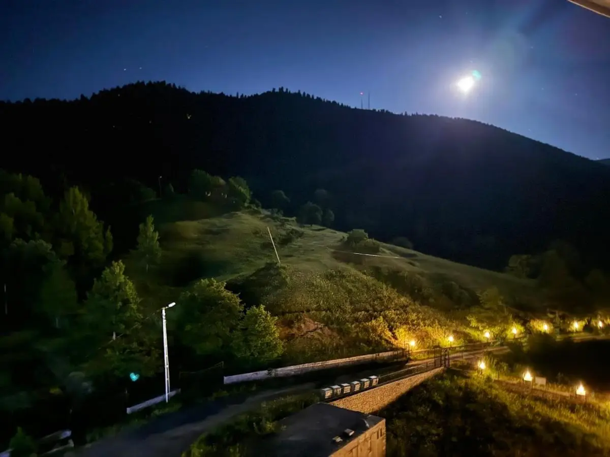 Black Forest Hotel