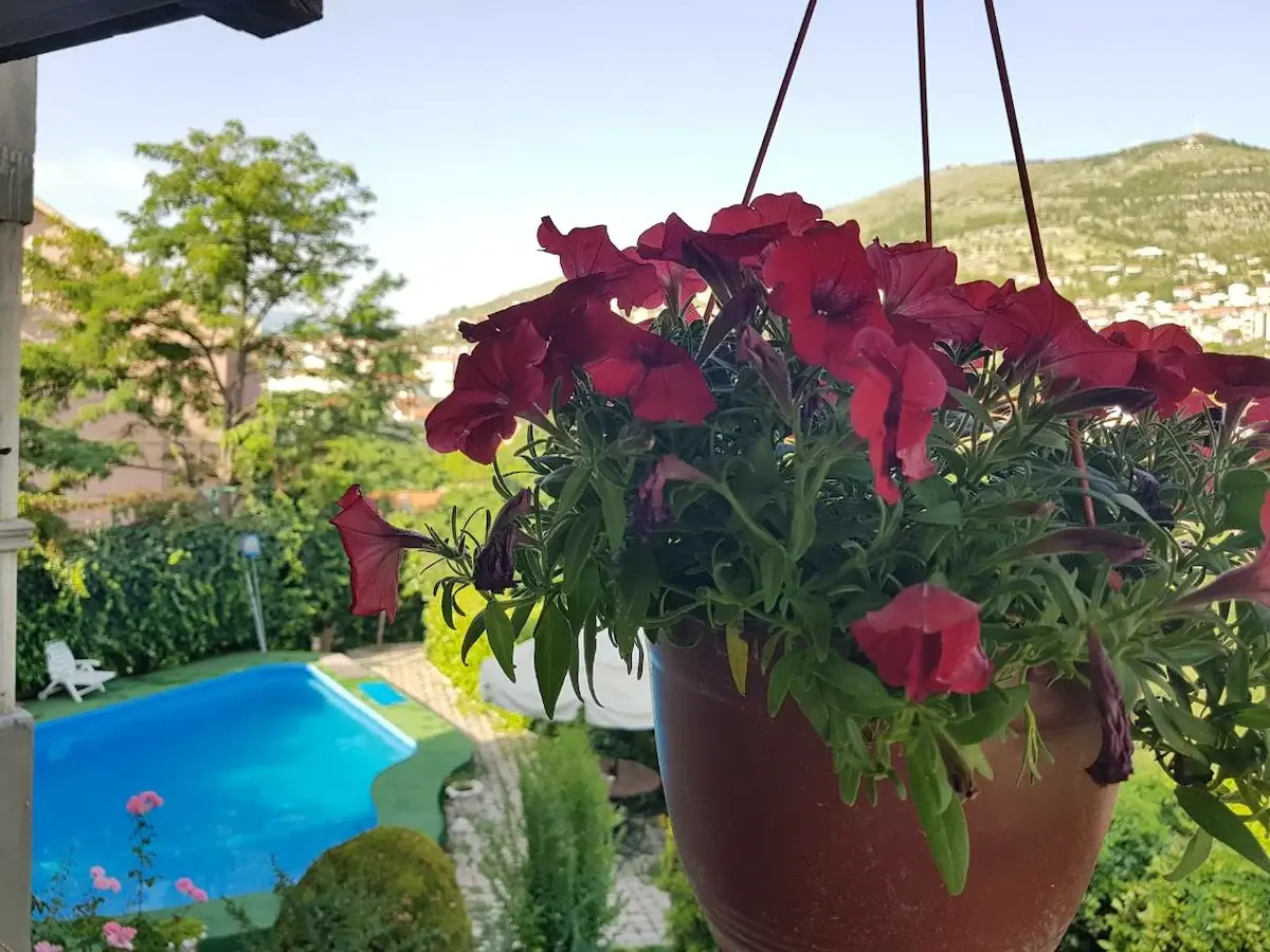 Welcome to Apartment Hortensia